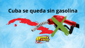 Situación color de hormiga