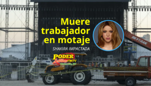 Pérdida irreparable